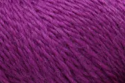 Grape Juice 1025