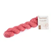 Coral meadas 41
