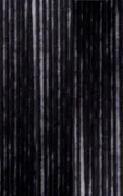 Black 19