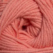Coral 23