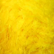 Ducky 19