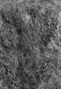 Medium Grey 04