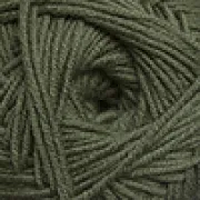 Olive 26
