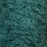 Peacock 17