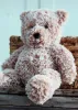 bear.jpg (55