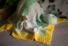 laines du nord copertina baby soft GAB03101.jpg (33